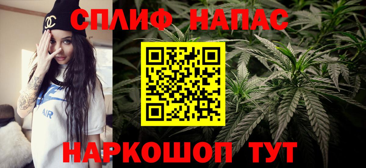 Бошки Шишки MAZAR Коломна